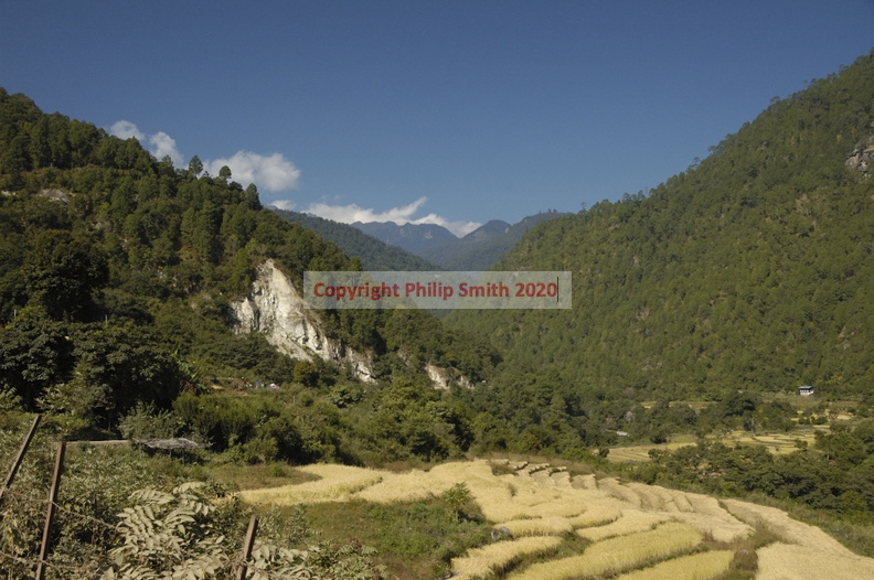289-Punakha-Valley.JPG