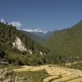 289-Punakha-Valley
