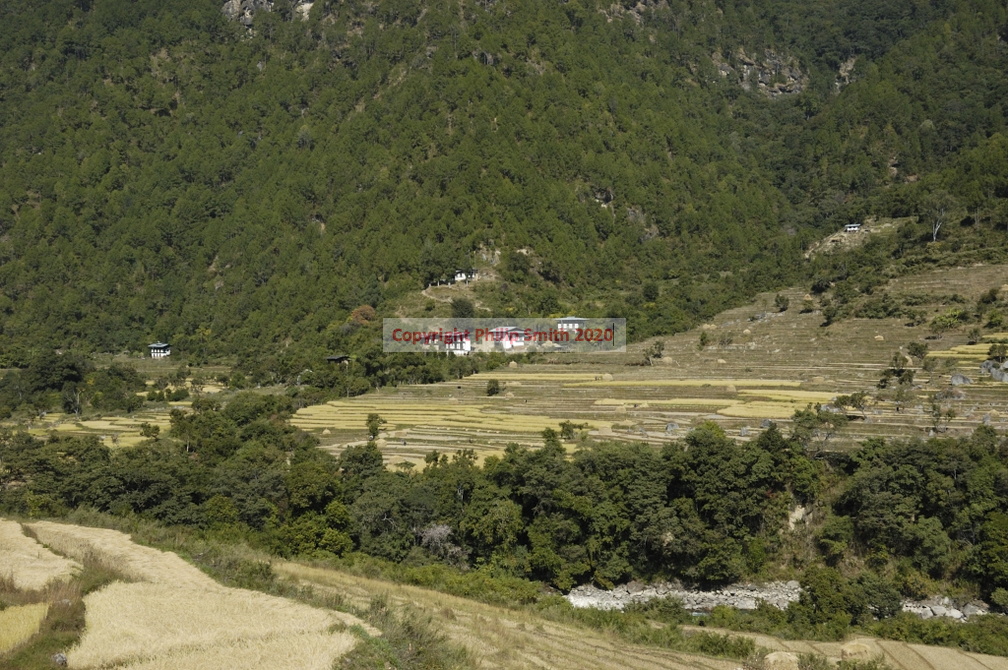 290-Punakha-Valley