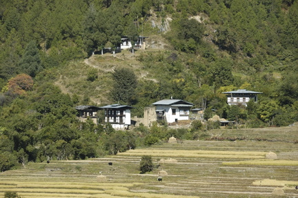 292-Punakha-Valley