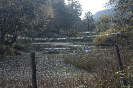 350-Gasa-Pond