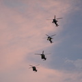 178-Helicopters.JPG