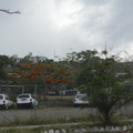 12-Honiara